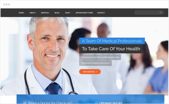 Softbitrix, Technology website direction