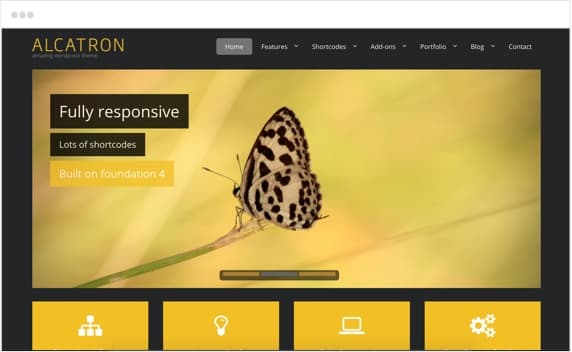 SQZ Wellness, Health website direction